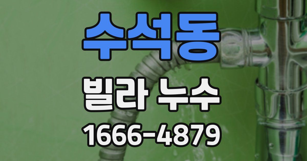 수석동 빌라 누수