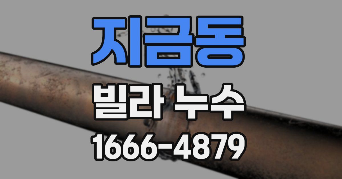 지금동 빌라 누수