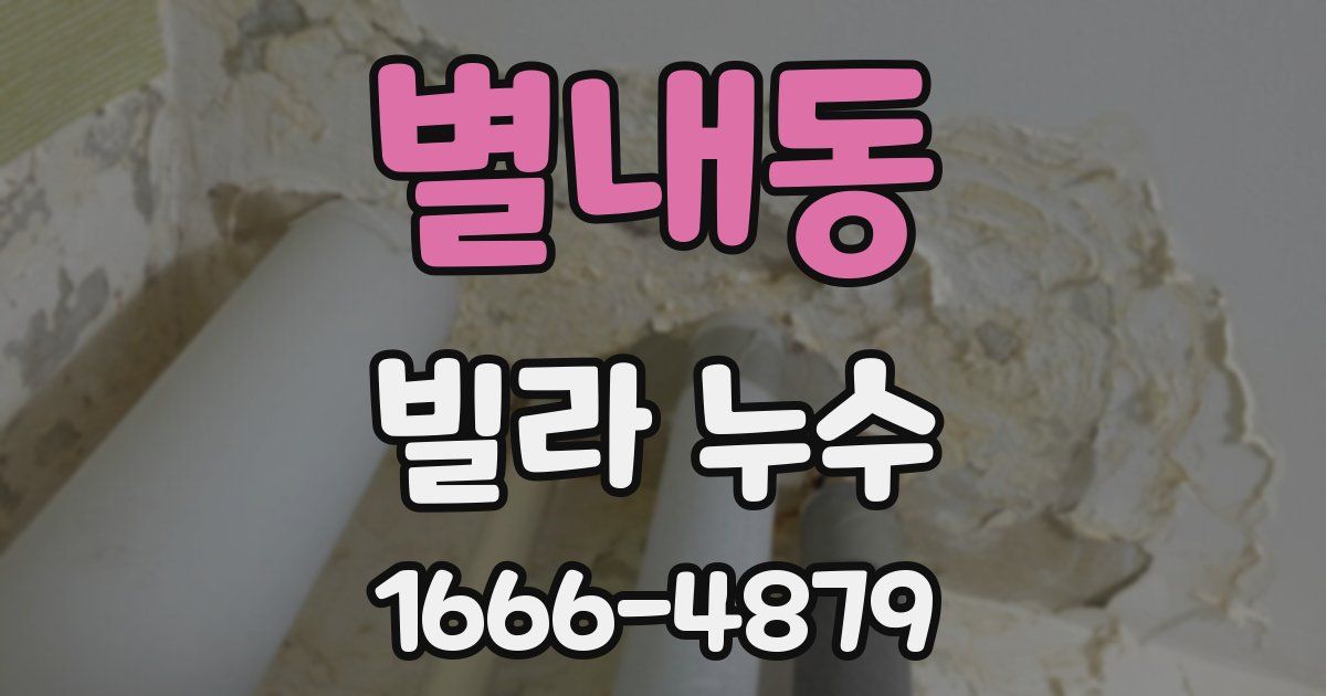 별내동 빌라 누수