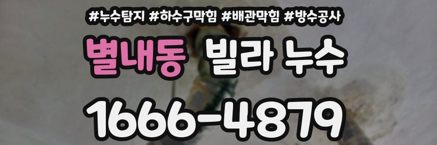 별내동 빌라 누수