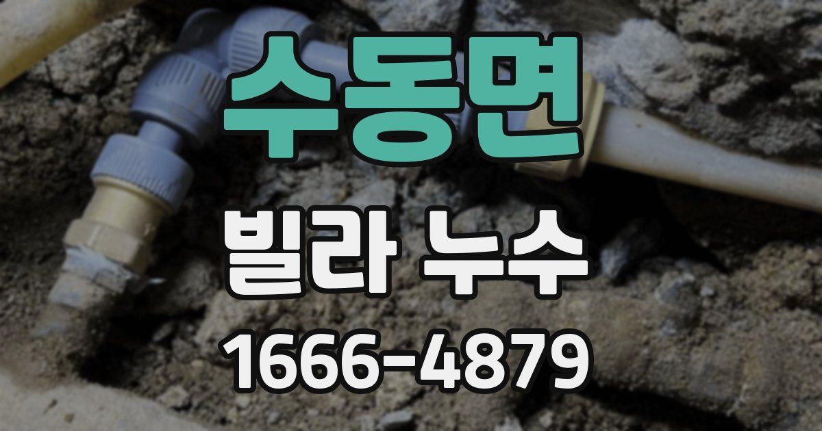 수동면 빌라 누수