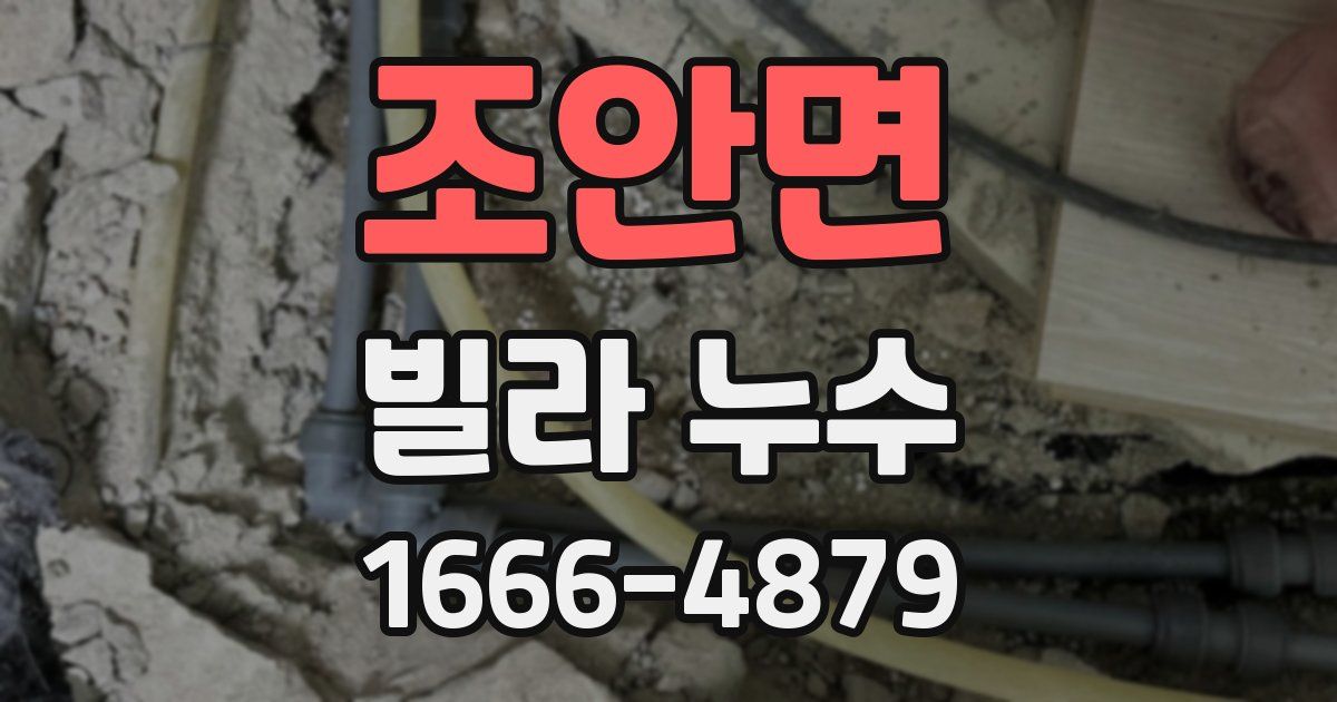 조안면 빌라 누수