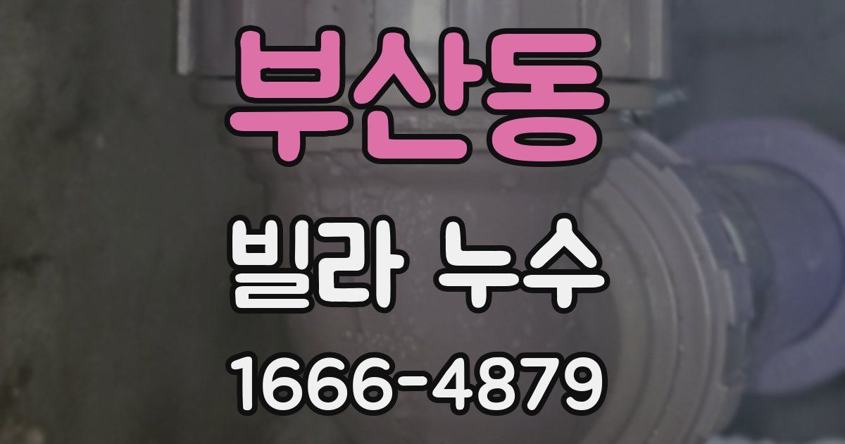 부산동 빌라 누수