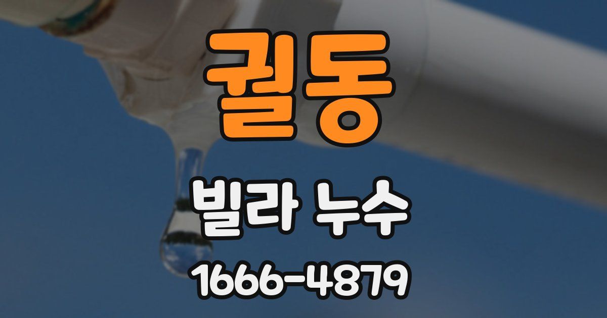 궐동 빌라 누수