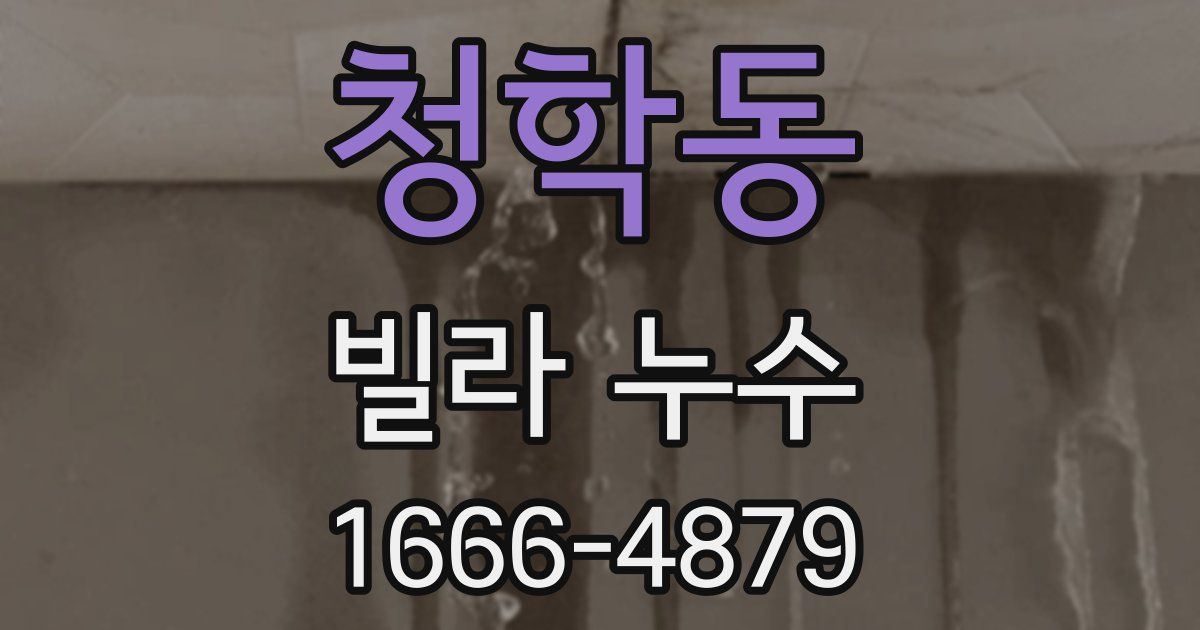 청학동 빌라 누수