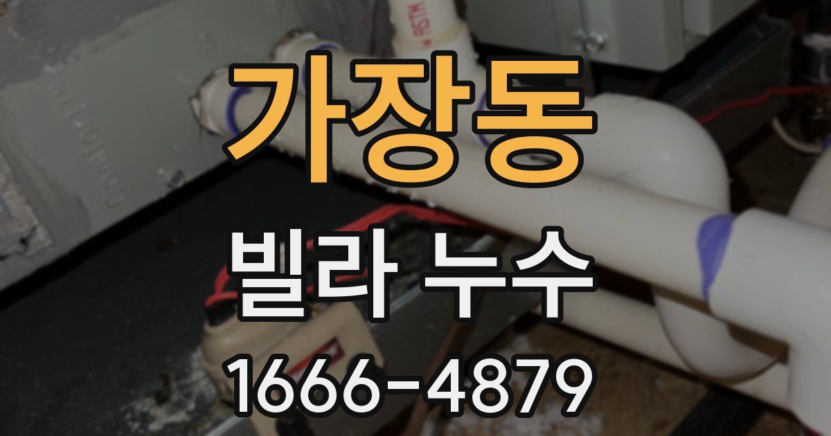 가장동 빌라 누수