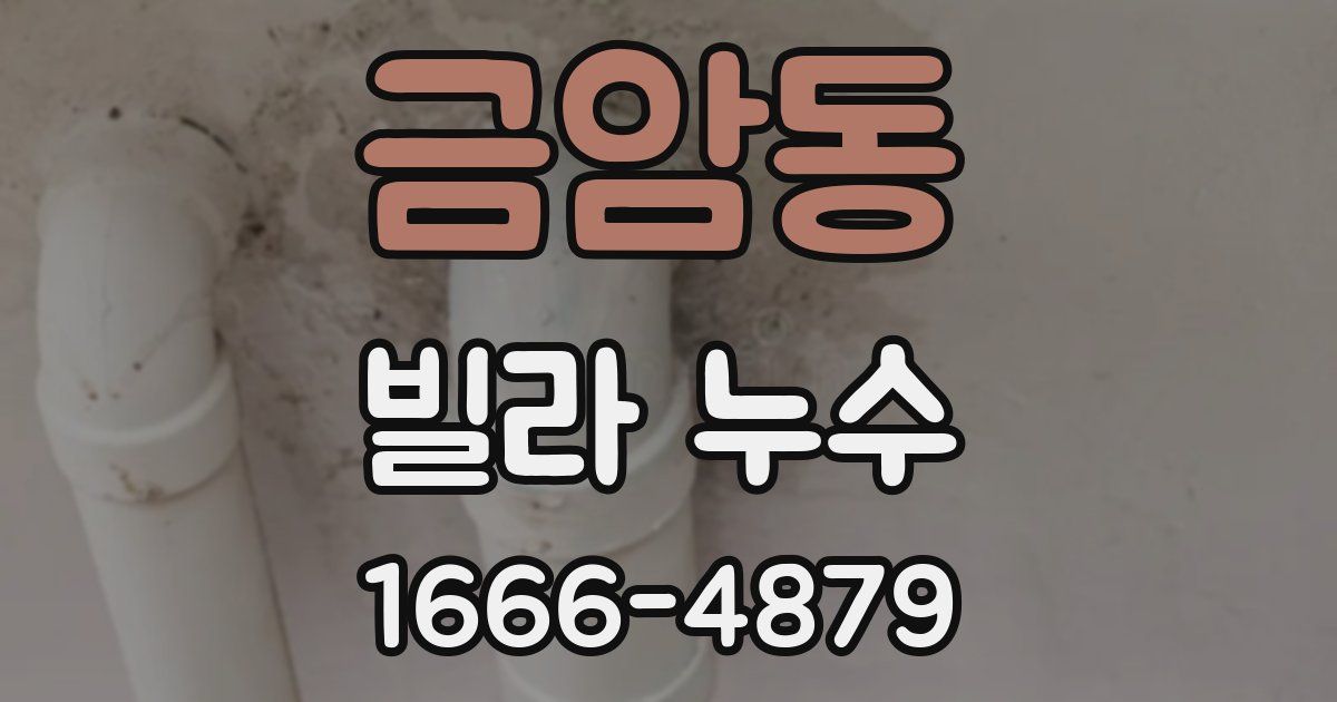금암동 빌라 누수