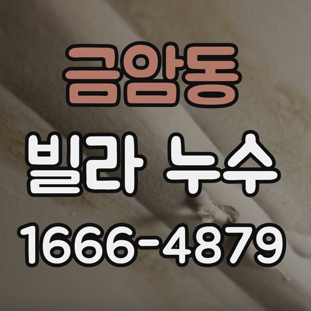 금암동 빌라 누수
