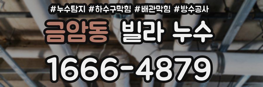 금암동 빌라 누수