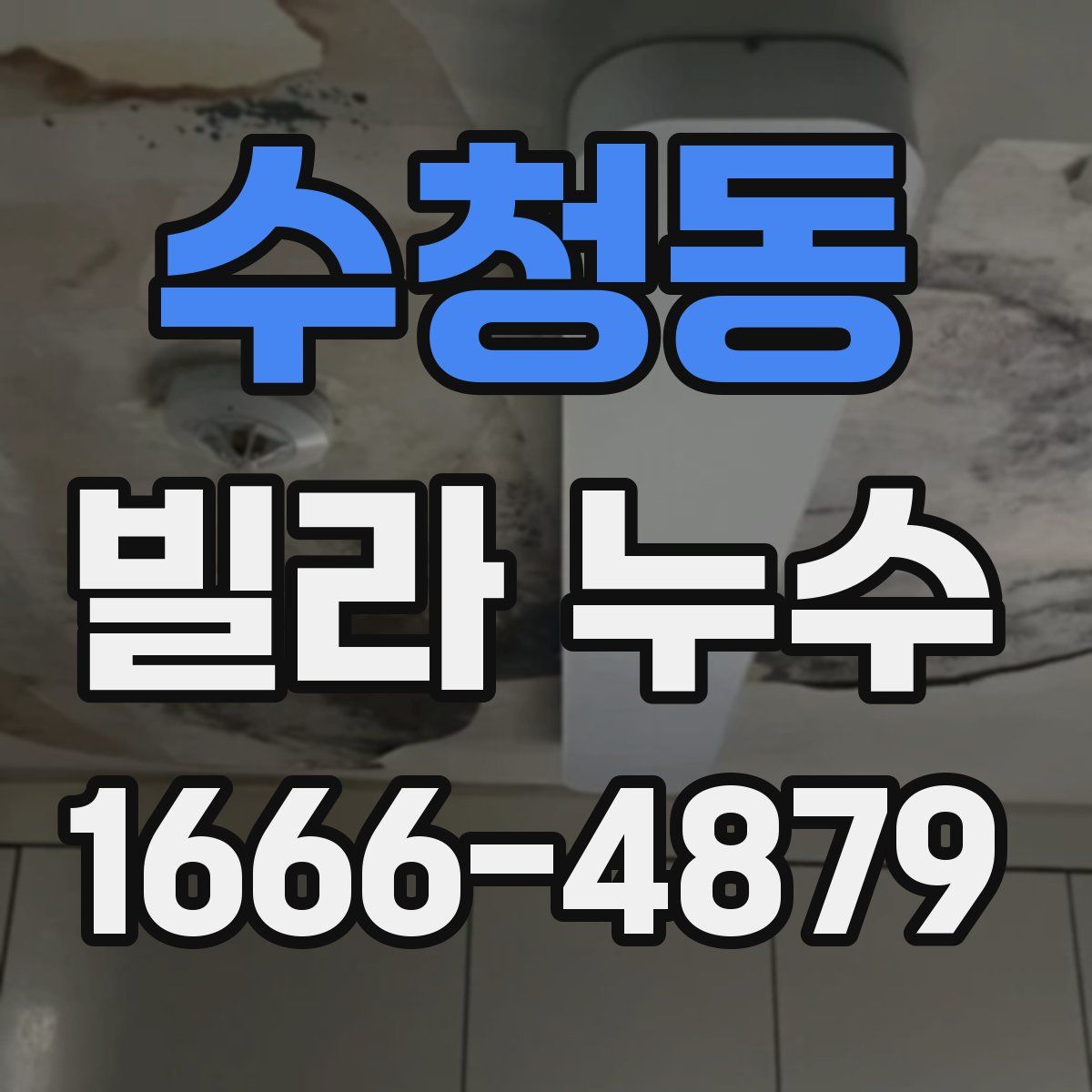 수청동 빌라 누수