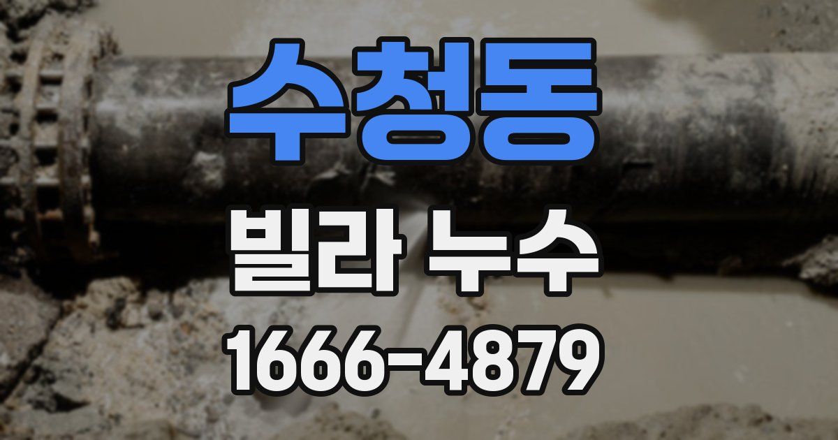 수청동 빌라 누수