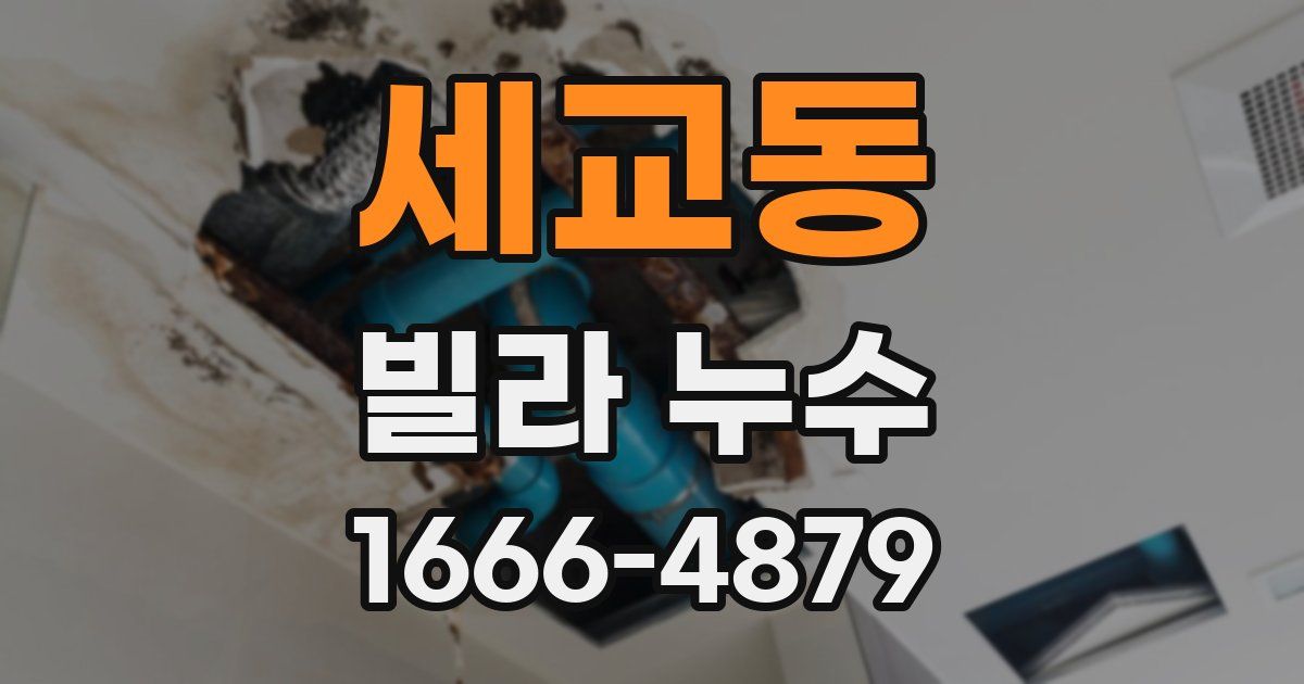 세교동 빌라 누수