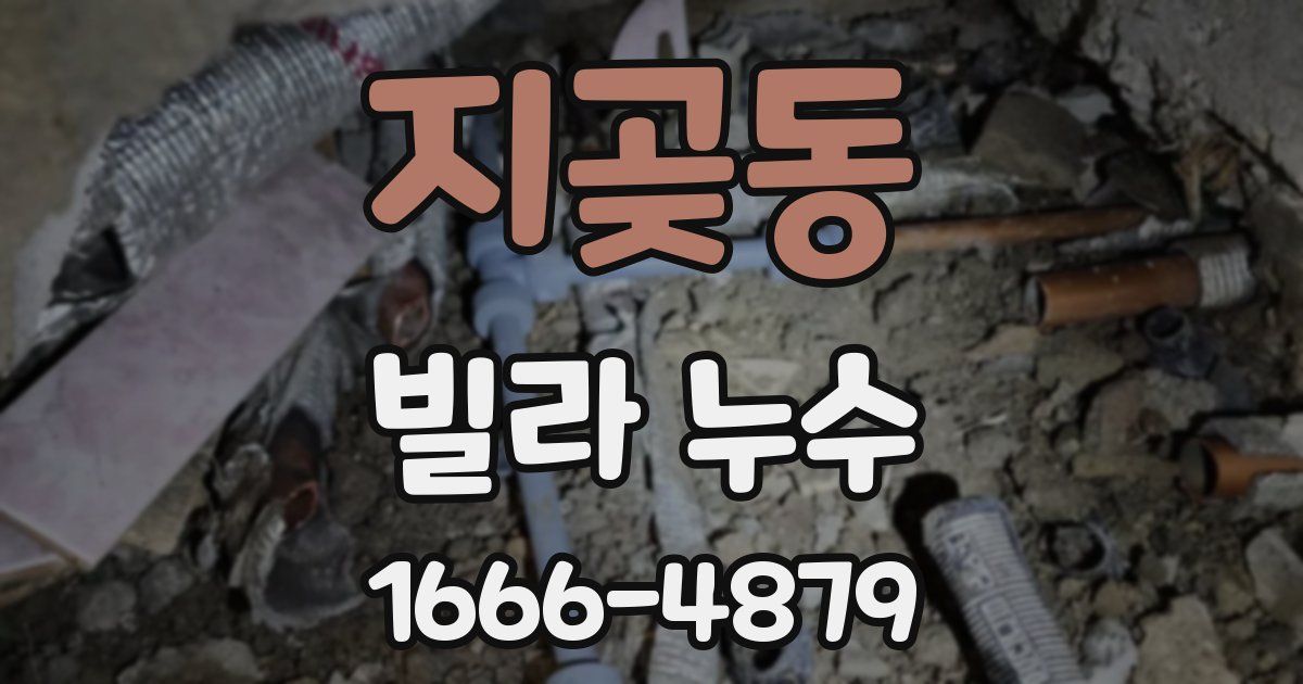 지곶동 빌라 누수