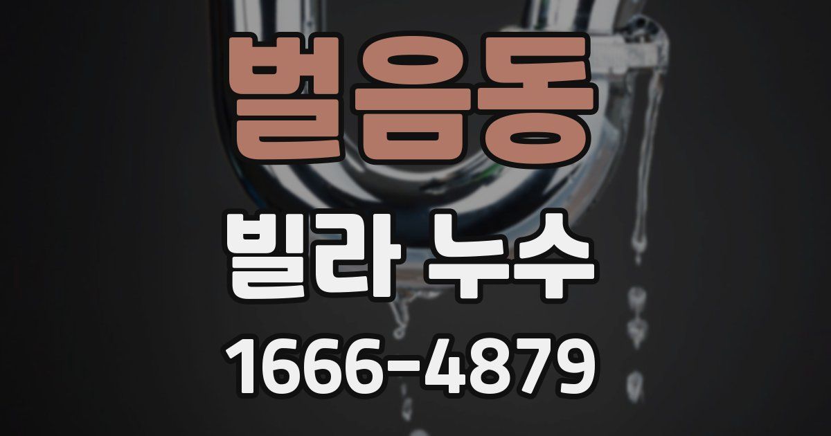 벌음동 빌라 누수