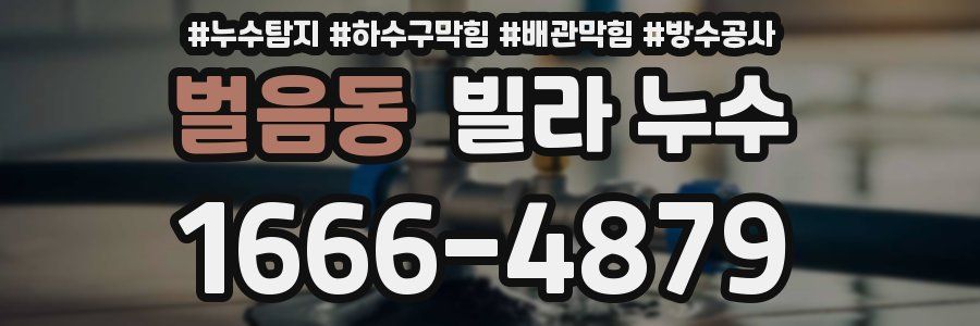 벌음동 빌라 누수