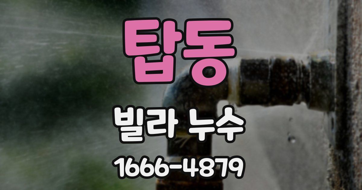 탑동 빌라 누수