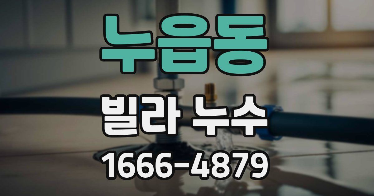 누읍동 빌라 누수