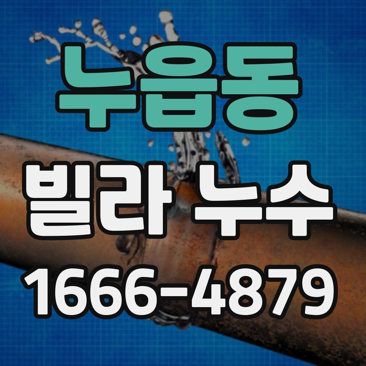 누읍동 빌라 누수