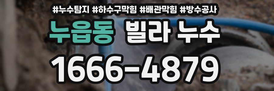 누읍동 빌라 누수