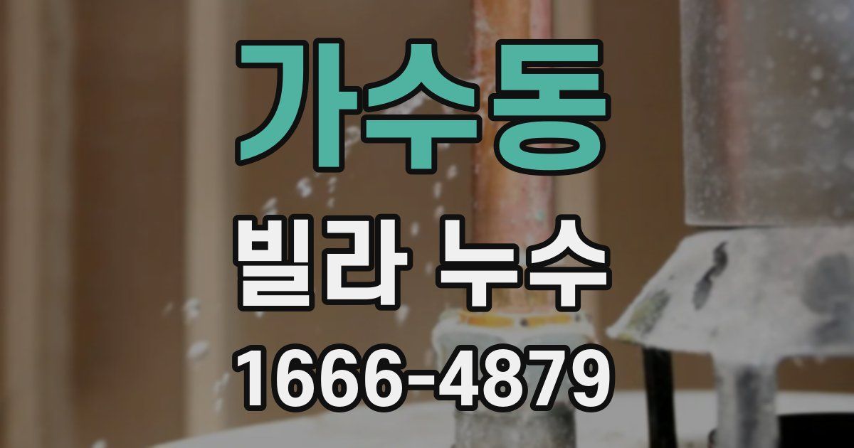 가수동 빌라 누수