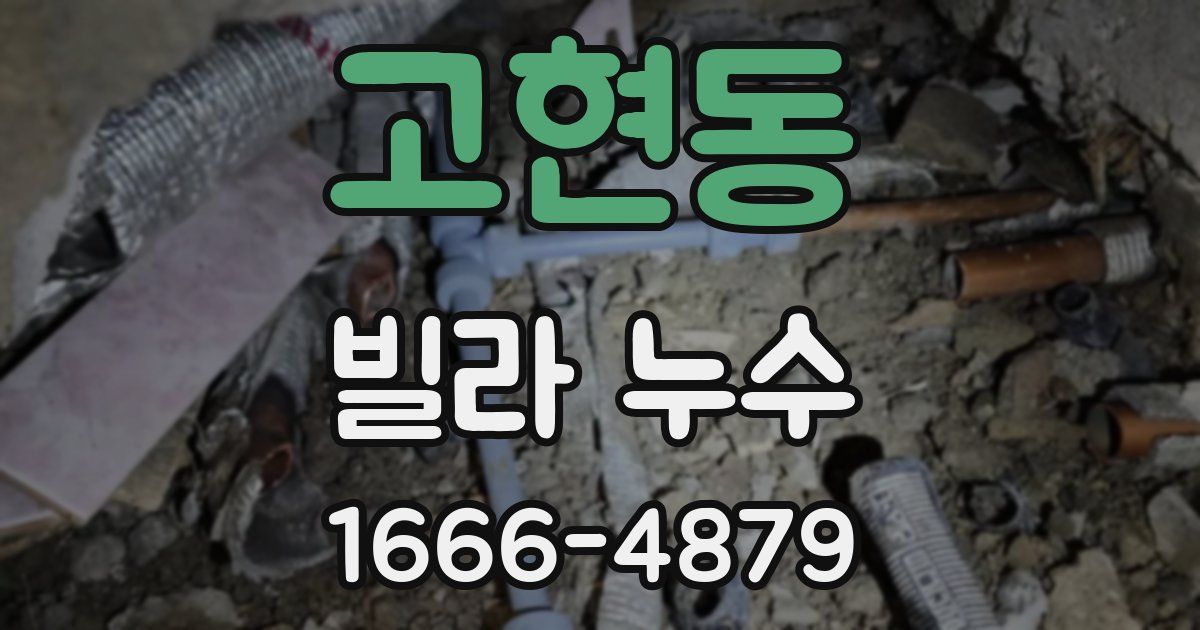 고현동 빌라 누수