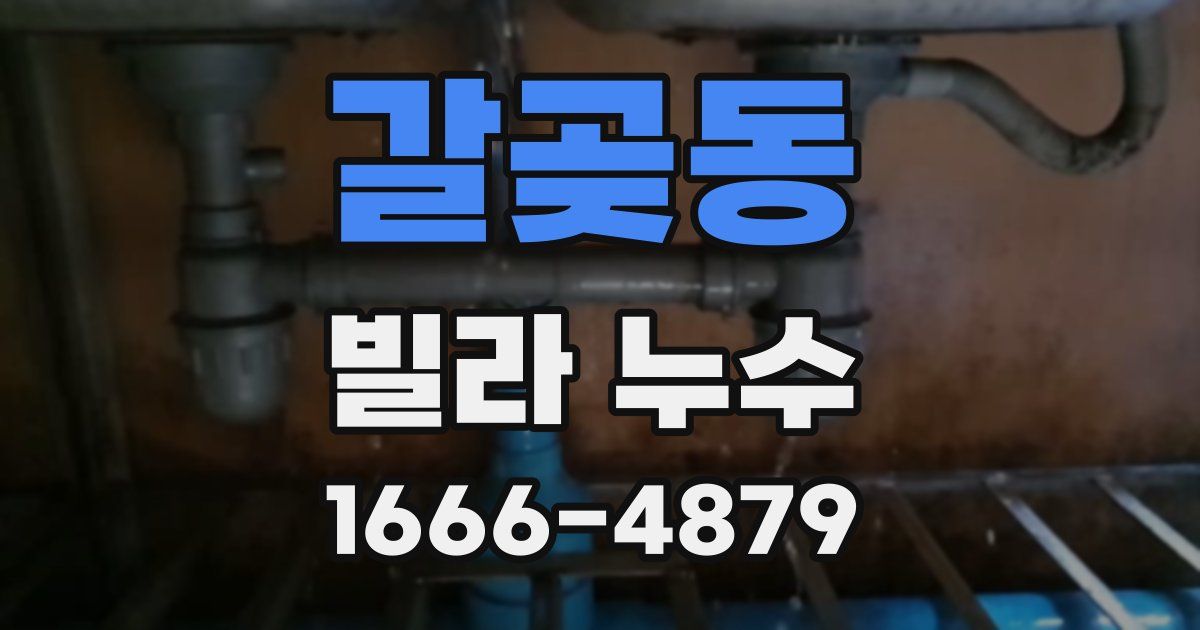 갈곶동 빌라 누수