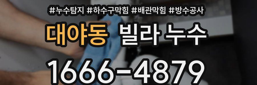 대야동 빌라 누수
