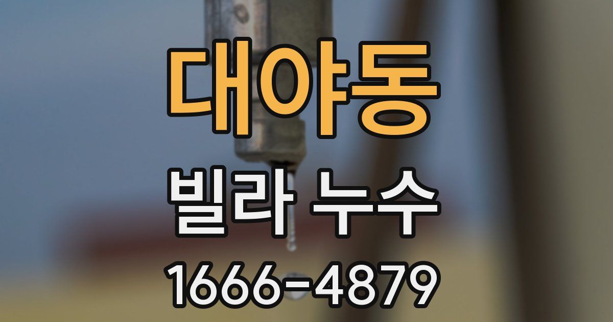 대야동 빌라 누수