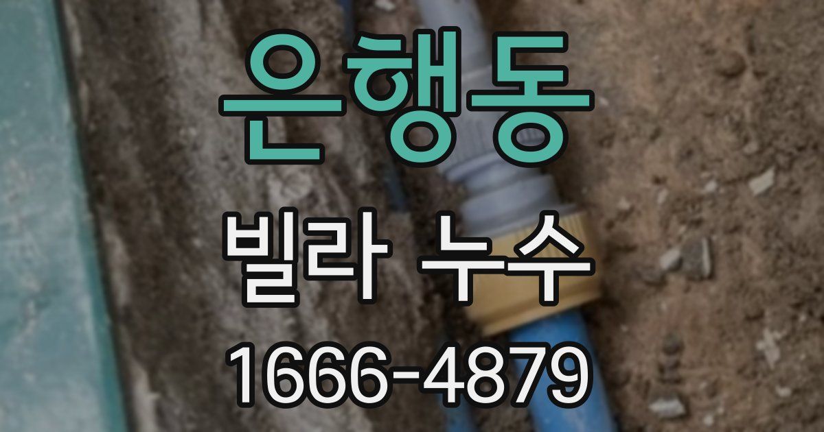 은행동 빌라 누수