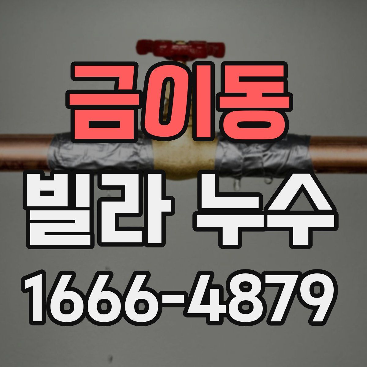 금이동 빌라 누수