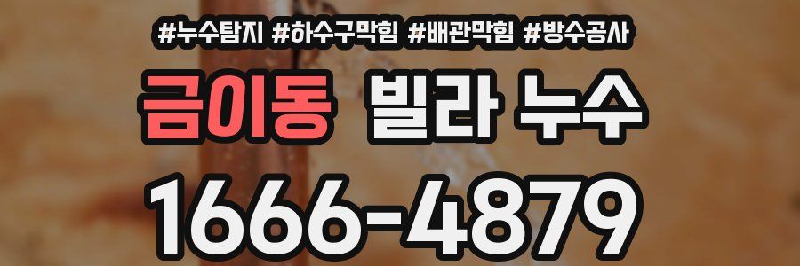 금이동 빌라 누수