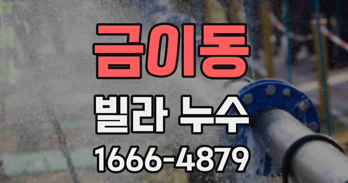 금이동 빌라 누수