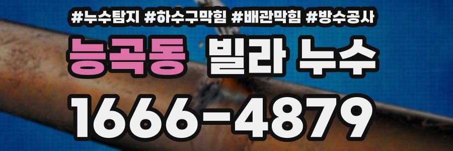 능곡동 빌라 누수
