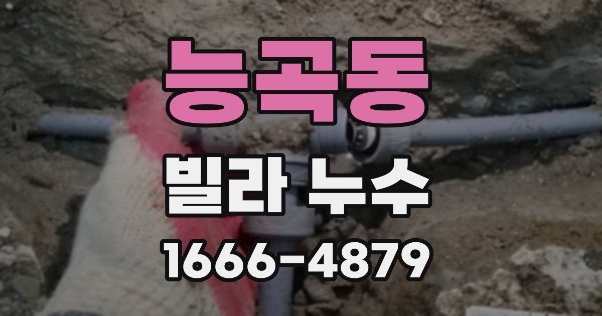 능곡동 빌라 누수