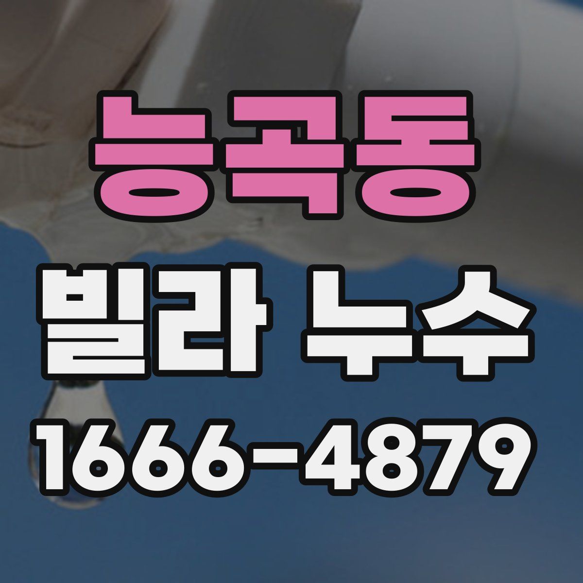 능곡동 빌라 누수
