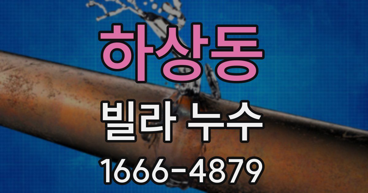 하상동 빌라 누수