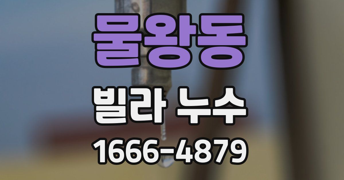 물왕동 빌라 누수
