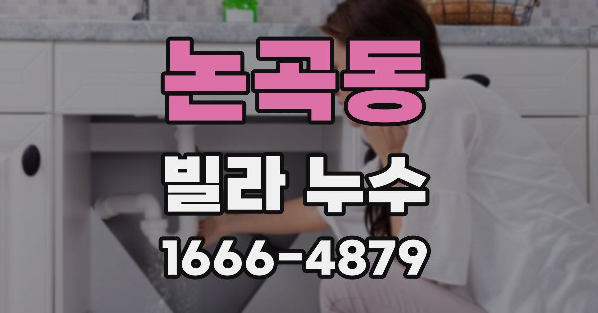 논곡동 빌라 누수
