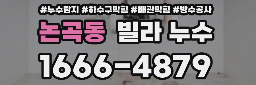 논곡동 빌라 누수