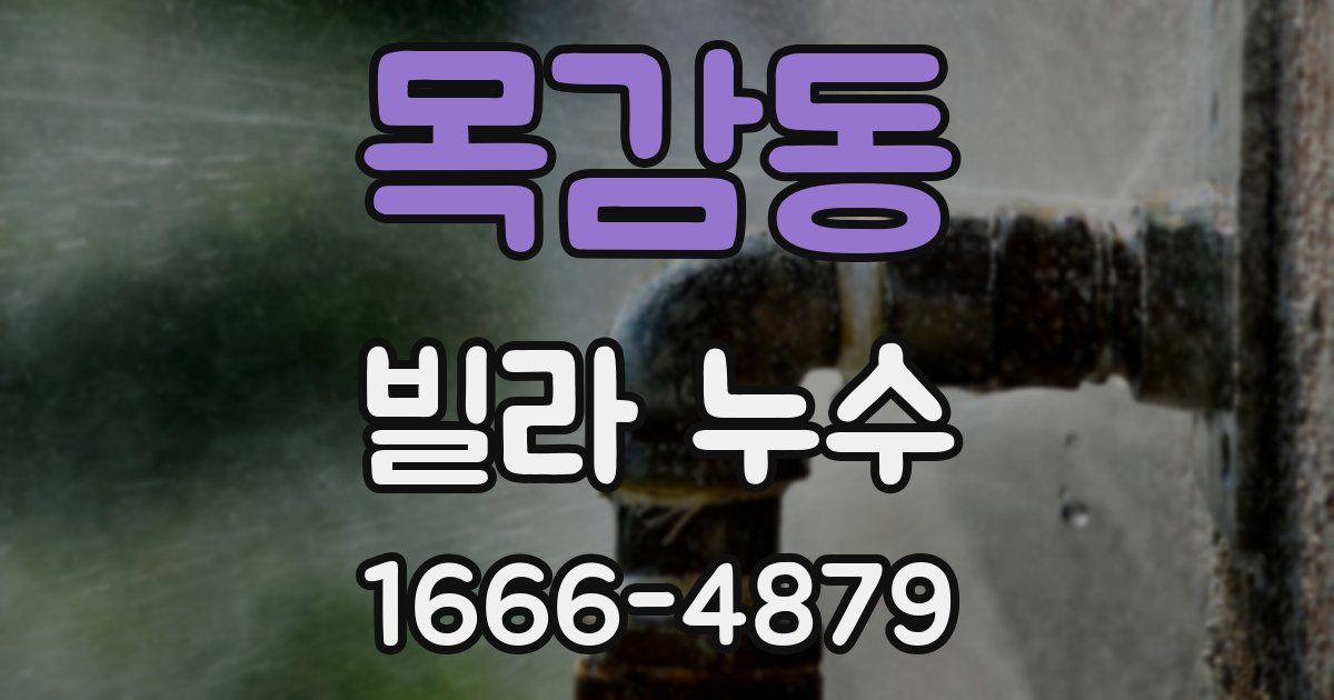 목감동 빌라 누수