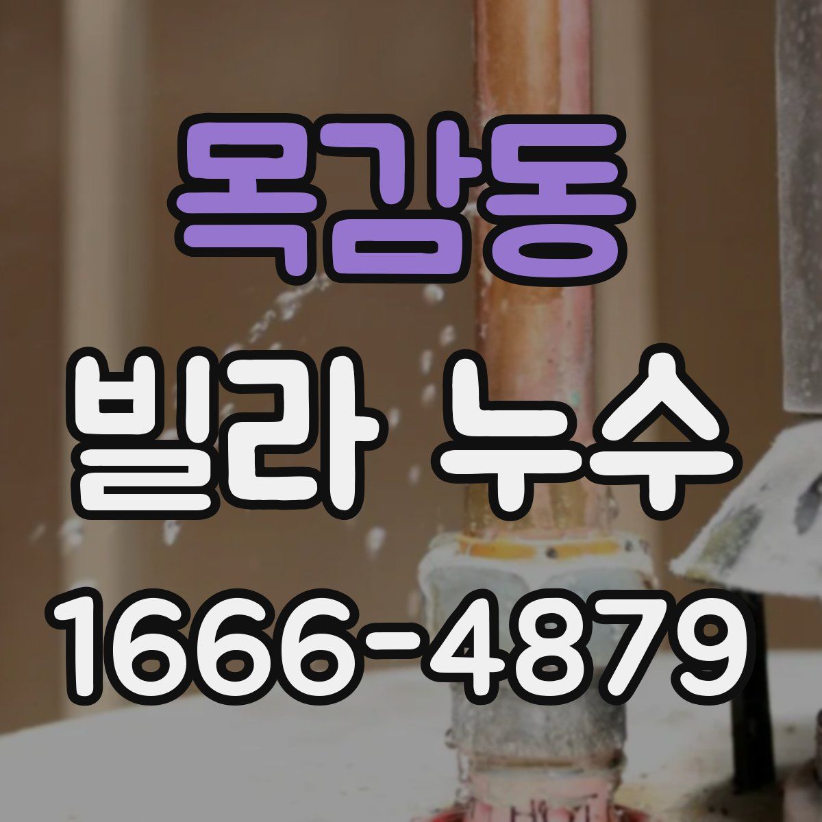 목감동 빌라 누수