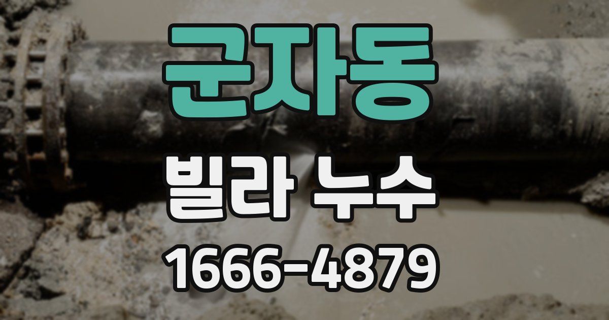 군자동 빌라 누수
