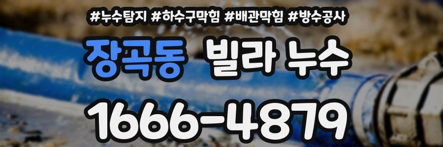 장곡동 빌라 누수