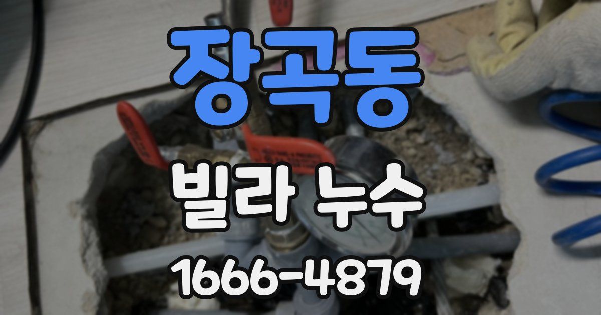 장곡동 빌라 누수