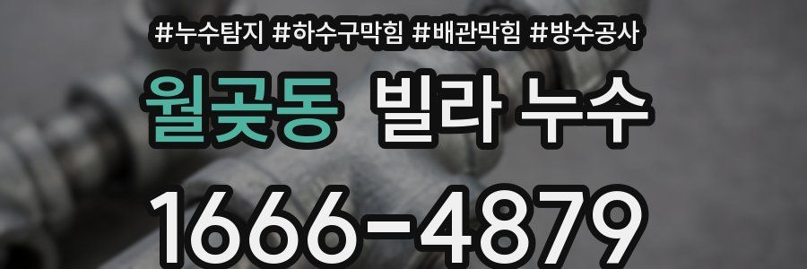 월곶동 빌라 누수