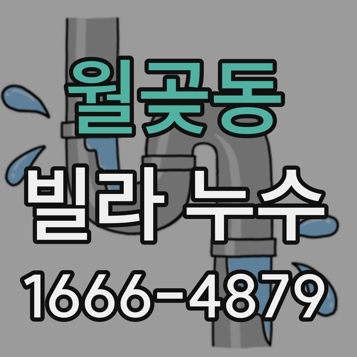 월곶동 빌라 누수