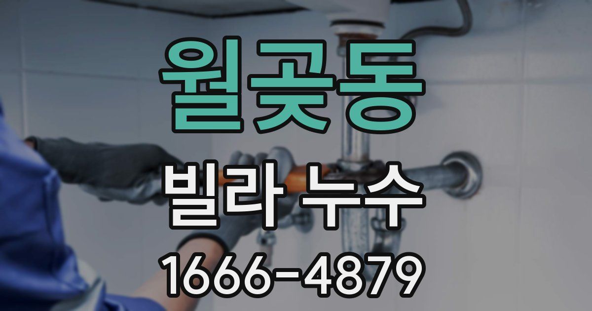 월곶동 빌라 누수