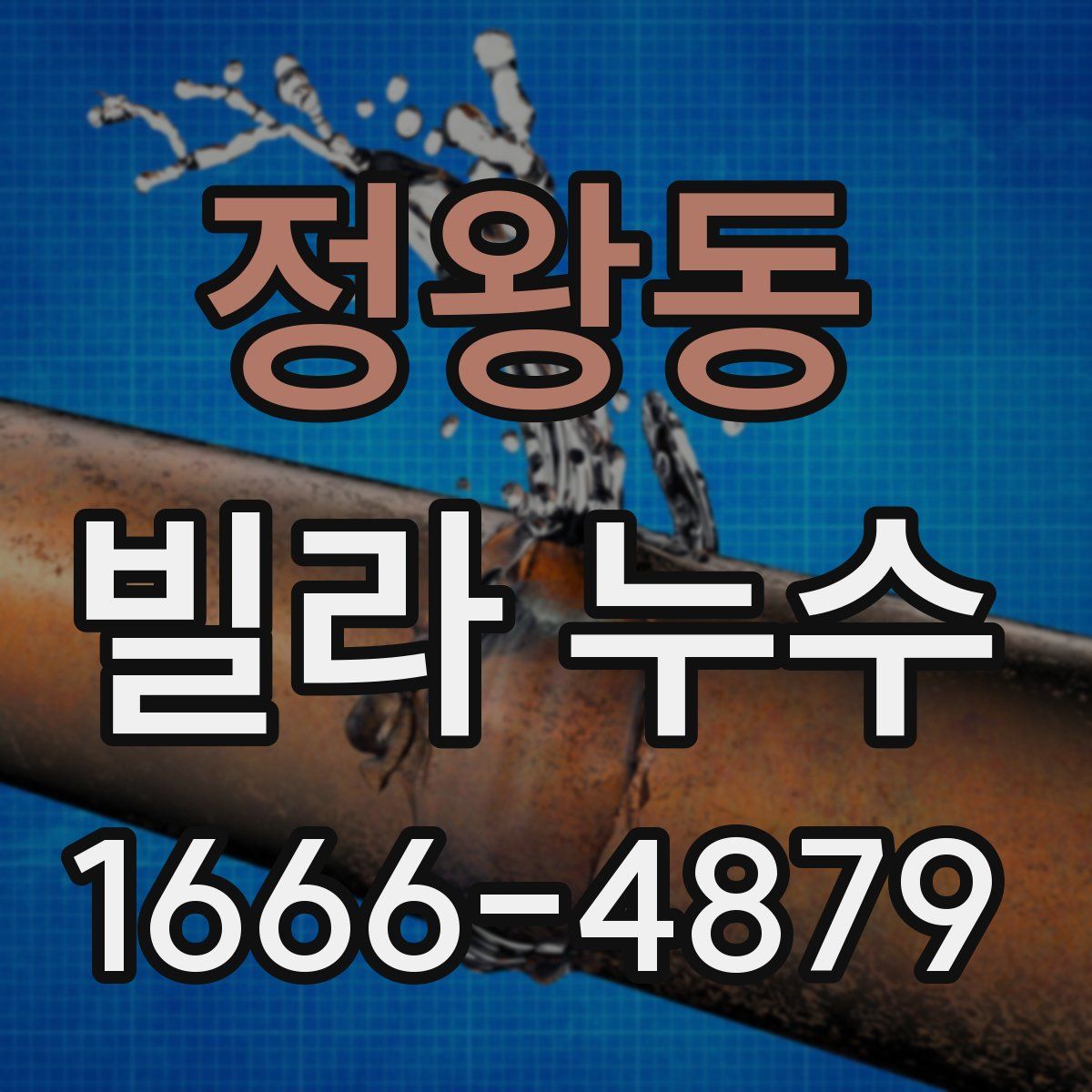 정왕동 빌라 누수