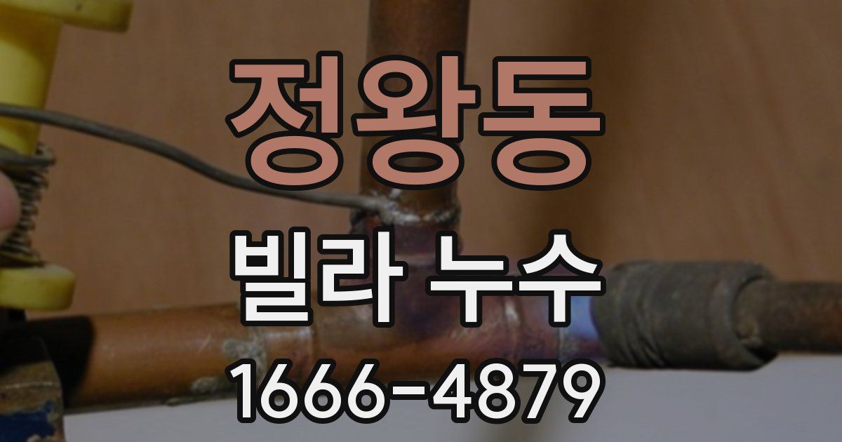정왕동 빌라 누수