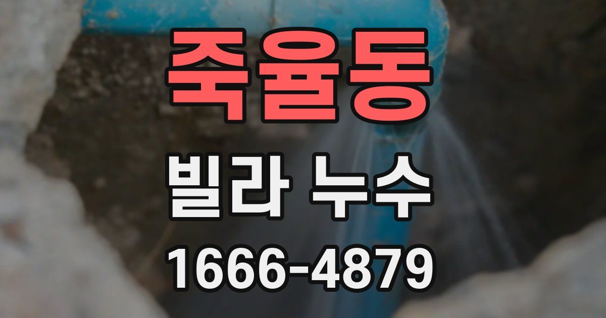 죽율동 빌라 누수
